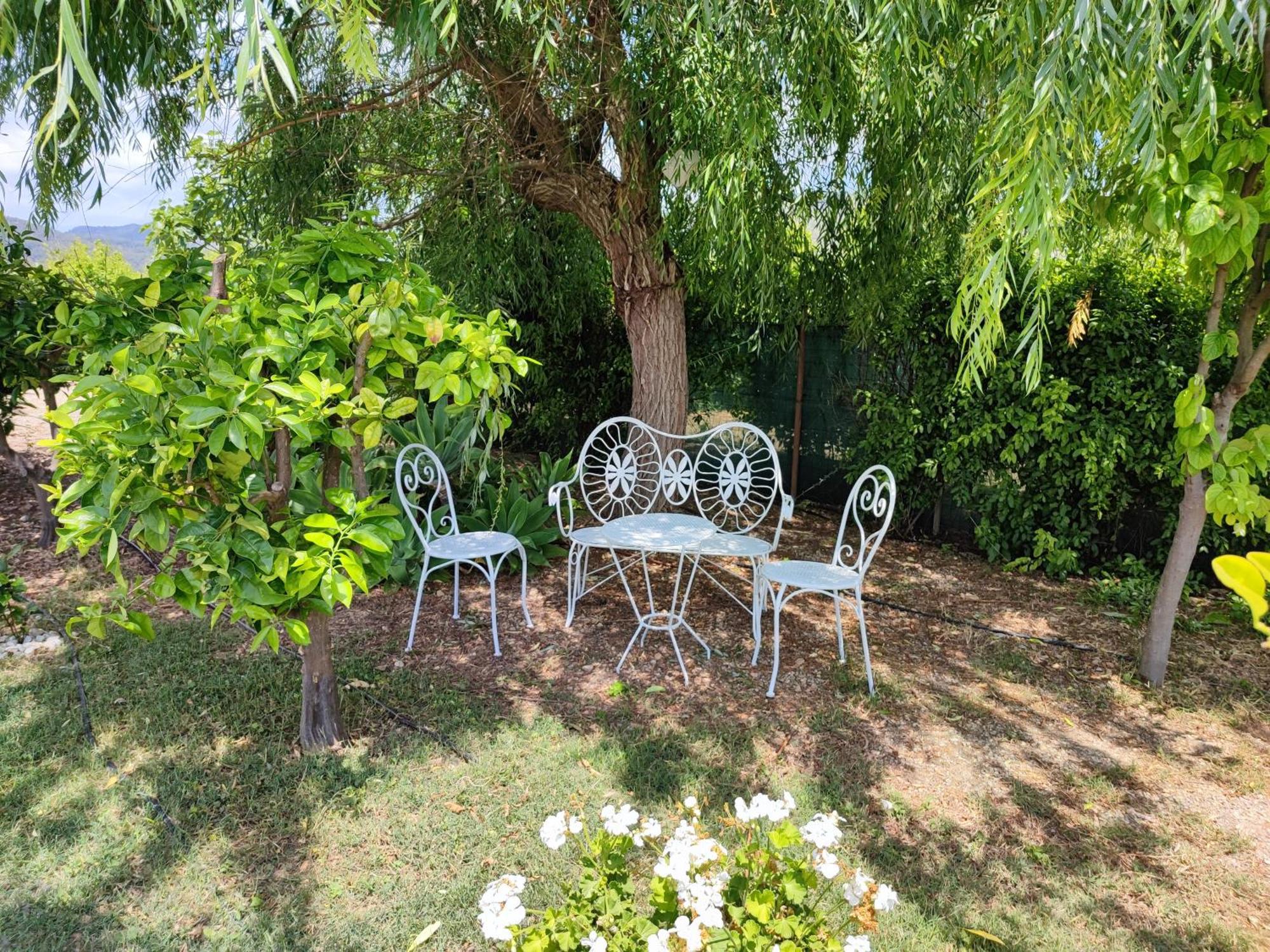Els Tarongers Perfect For Families Or Friends Villa Са Побла Екстериор снимка